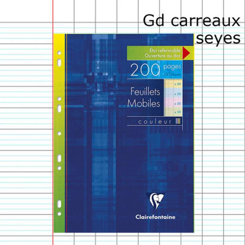 Feuilles Simples A4 Grands Carreaux Seyès Oxford – 200 Pages, Papier Satiné 90 G, étui Carte Rouge