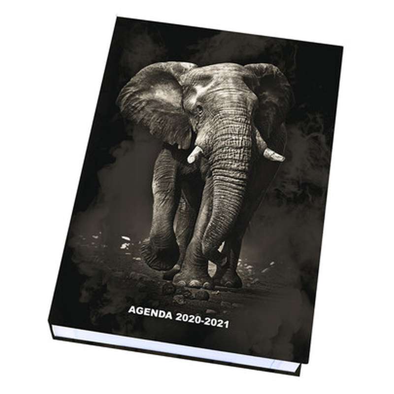 Agenda Scolaire Exacompta – Motif Cheval, Août 2022 à Juillet 2023 | 12x17 Cm, Papier Clairefontaine, Certifications écologiques