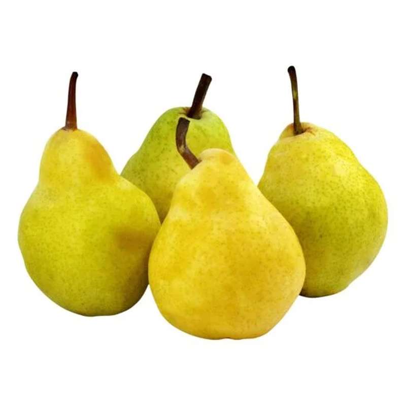 ANTI-GASPI Lot de 1 Kg de poires Guyot "à mûrir" BIO du Sud Est, France