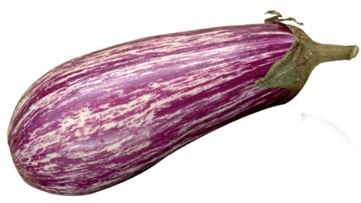 ANTI-GASPI Pack de 1 Kg d'aubergines graffiti BIO (calibre moyen), France