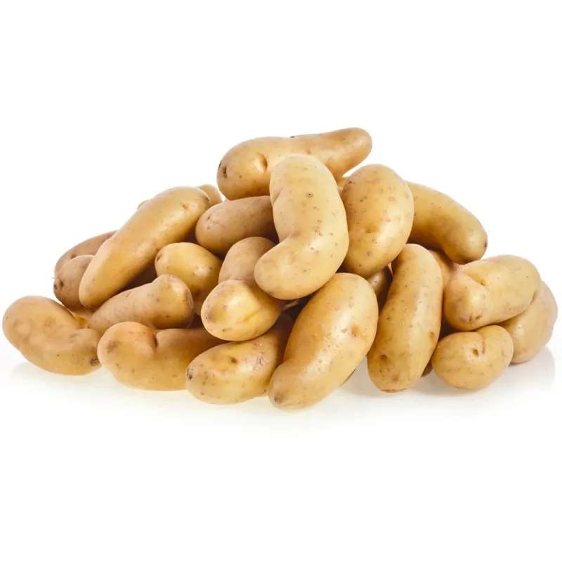 Pomme de terre ratte du Touquet (filet de 1 kg), France