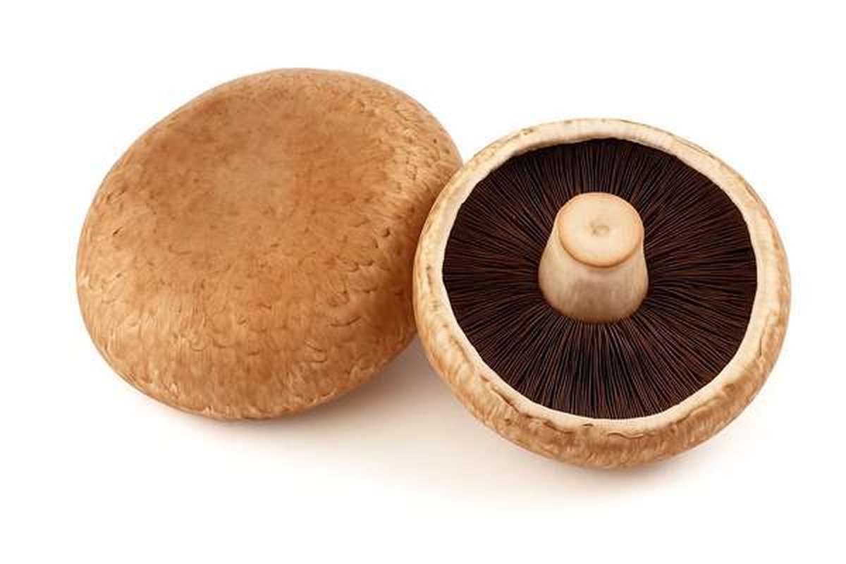 ANTI-GASPI Pack de 200g de Champignons Portobello Bio, France
