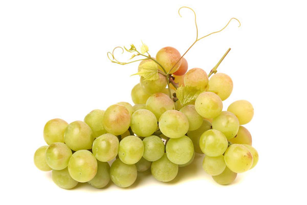 ANTI-GASPI Raisin blanc Italia BIO (barquette de 500 g), Italie