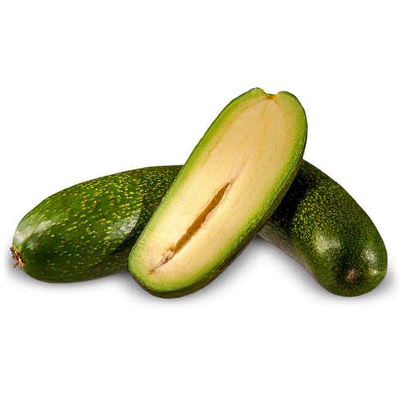 Petit avocat cocktail "à murir" (pack de 12 à 16 pièces), Espagne