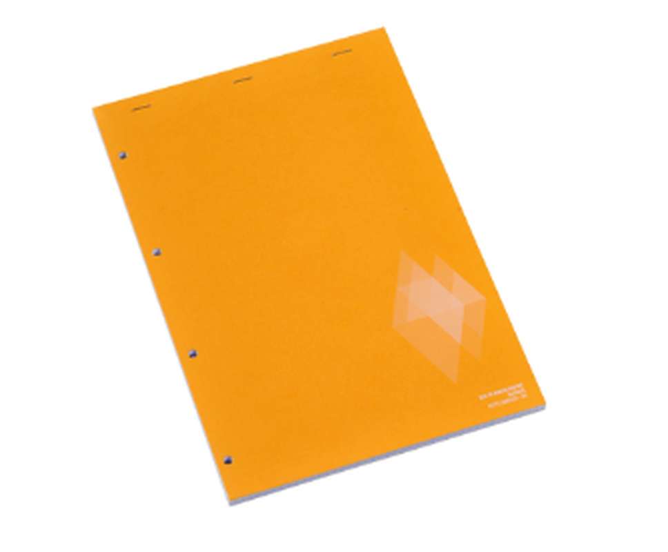 Bloc-note perforé 21x31,5cm 5x5, U (160 pages)