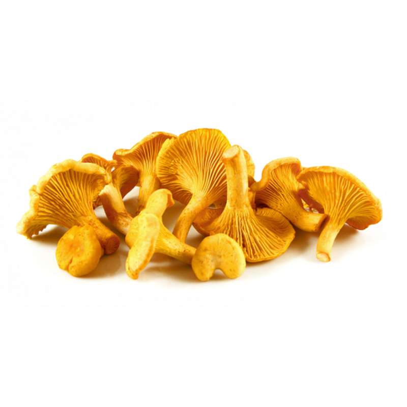 Bourriche de girolles sauvages (250 g), France