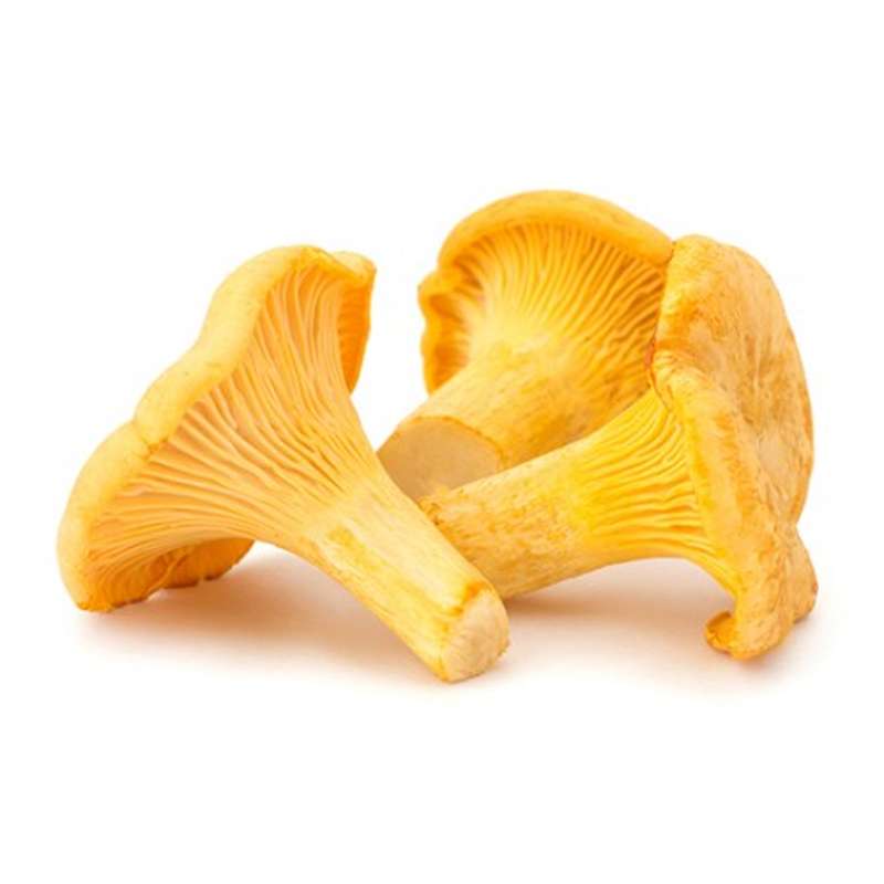 Chanterelles jaunes, France La Belle Vie Courses en Ligne