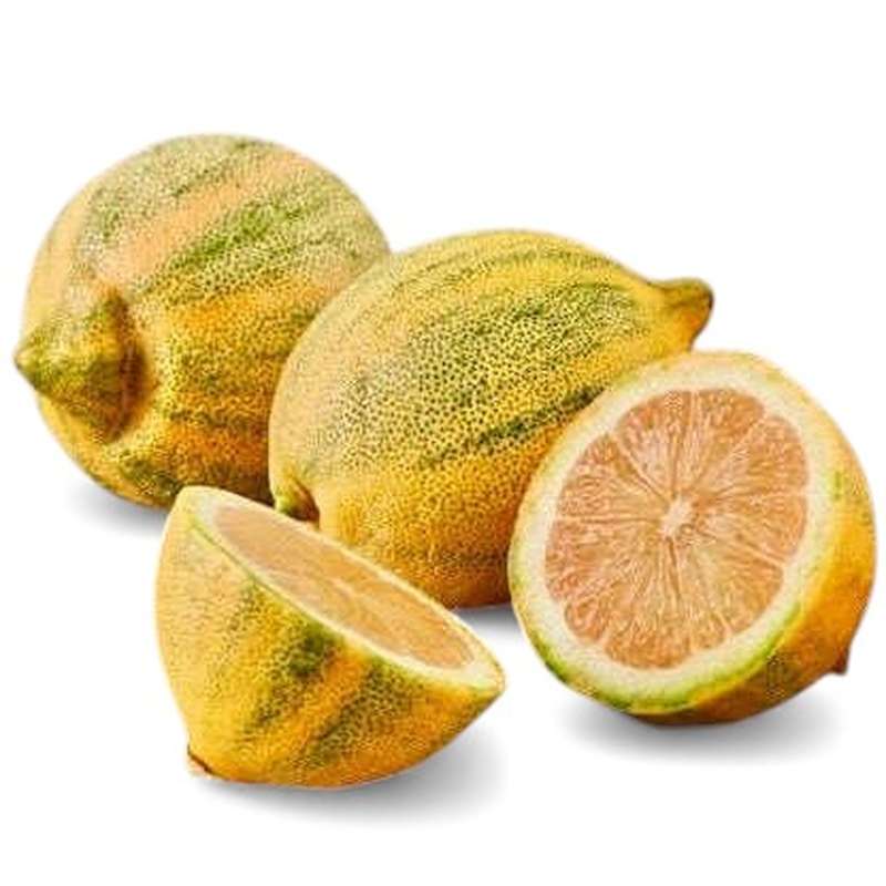 Lot de 3 citrons tigre à chair rose BIO : doux et sucré (calibre moyen), Maroc