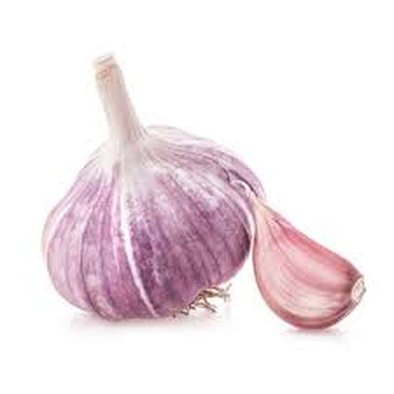 Ail violet (petit calibre), Espagne