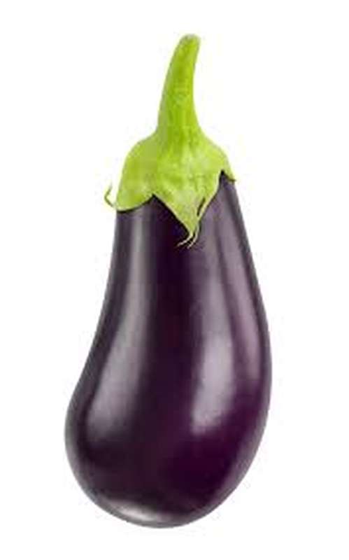 Aubergine (gros calibre), Belgique