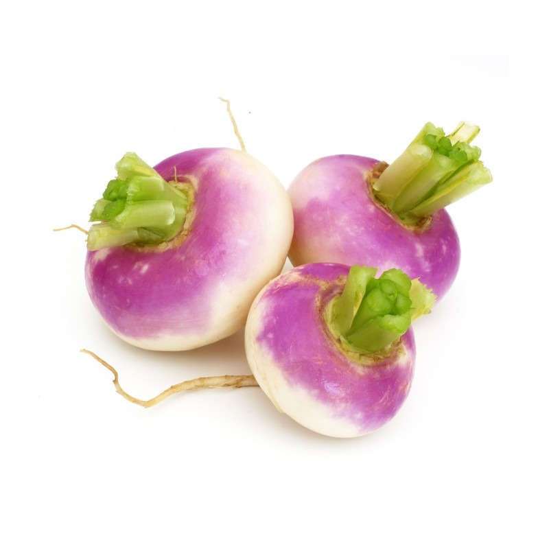 Barquette de navets violet BIO du Finistère nord (500 g), France