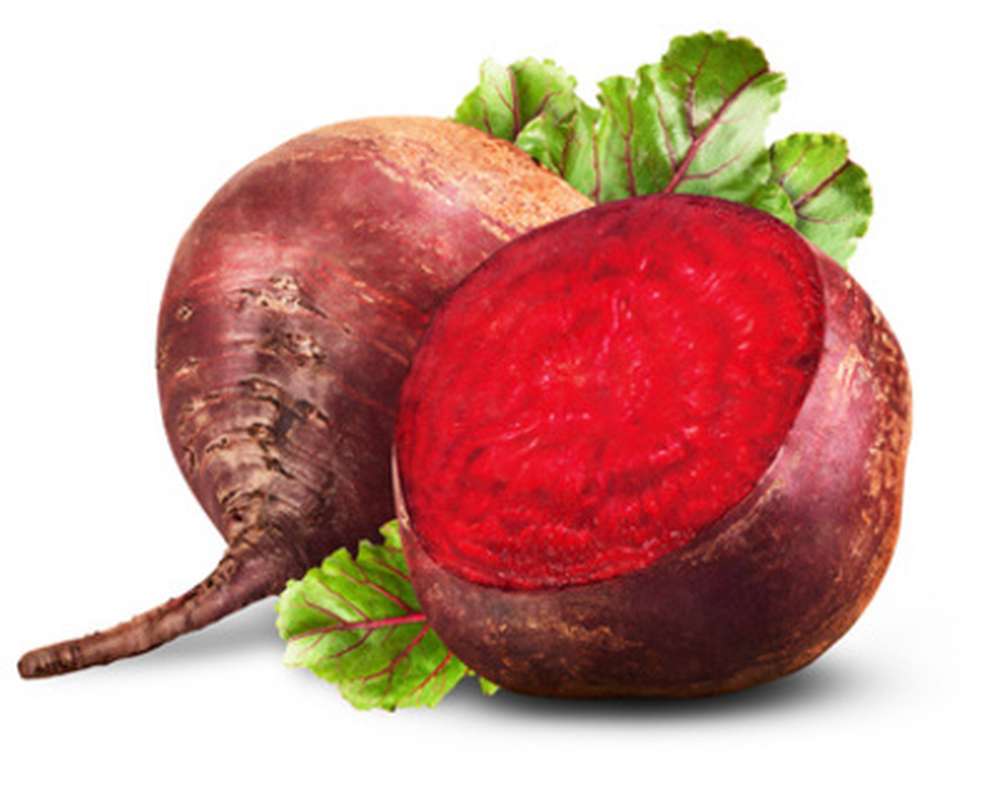 Filet de betterave rouge BIO du Finistère Nord - Direct producteur (500 g), France