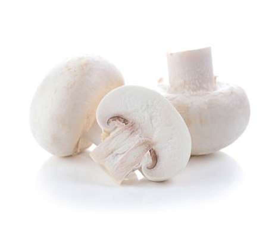 Champignons blancs (barquette de 250 g), Pays-bas