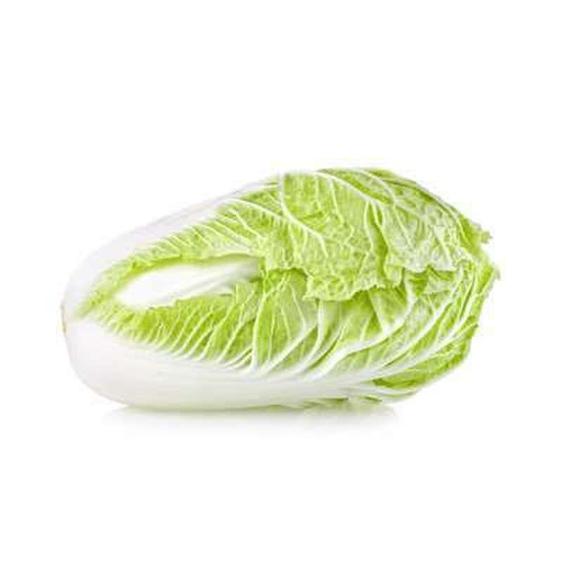 Chou chinois Pe-Tsaï BIO du Finistère Nord - Direct producteur (0.4 à 0.6 Kg) (très petit calibre), France