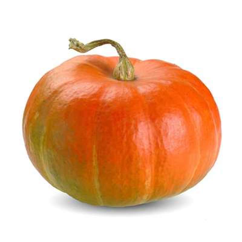 Courge rouge vif d'Étampes BIO (environ 4kg) (très gros calibre), France
