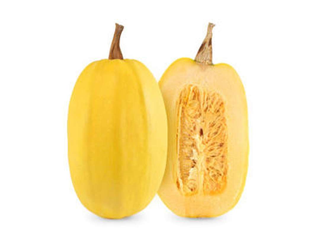 Courge spaghetti (calibre moyen), France