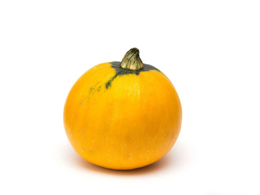Courgette ronde jaune de Provence - Direct producteur (gros calibre), France