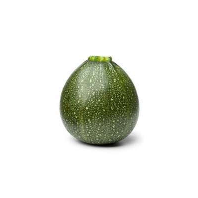 Copie de Courgette ronde verte du Loir-et-Cher (petit calibre), France