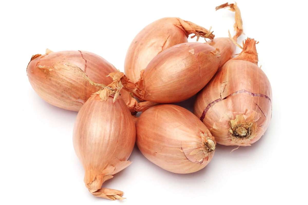 Echalote demi-sèche BIO du Finistère Nord - Direct producteur (250 g), France