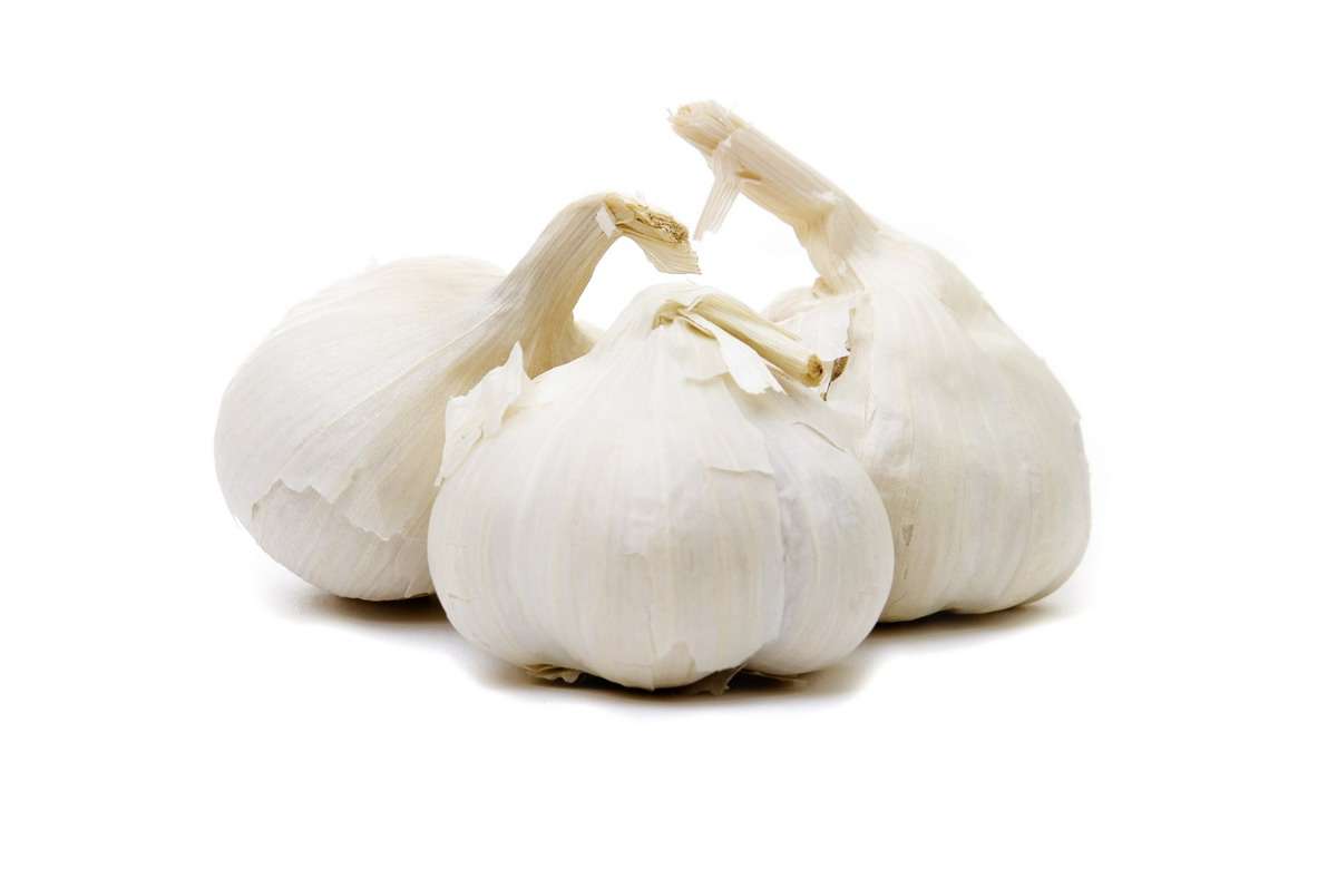 Filet de 3 têtes d'ail blanc BIO, Espagne