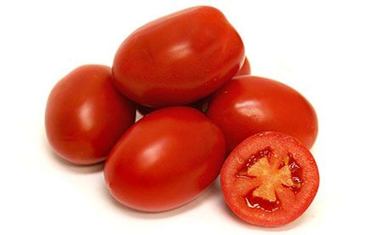 Barquette de tomates allongées type "Roma" BIO (500 g), Espagne