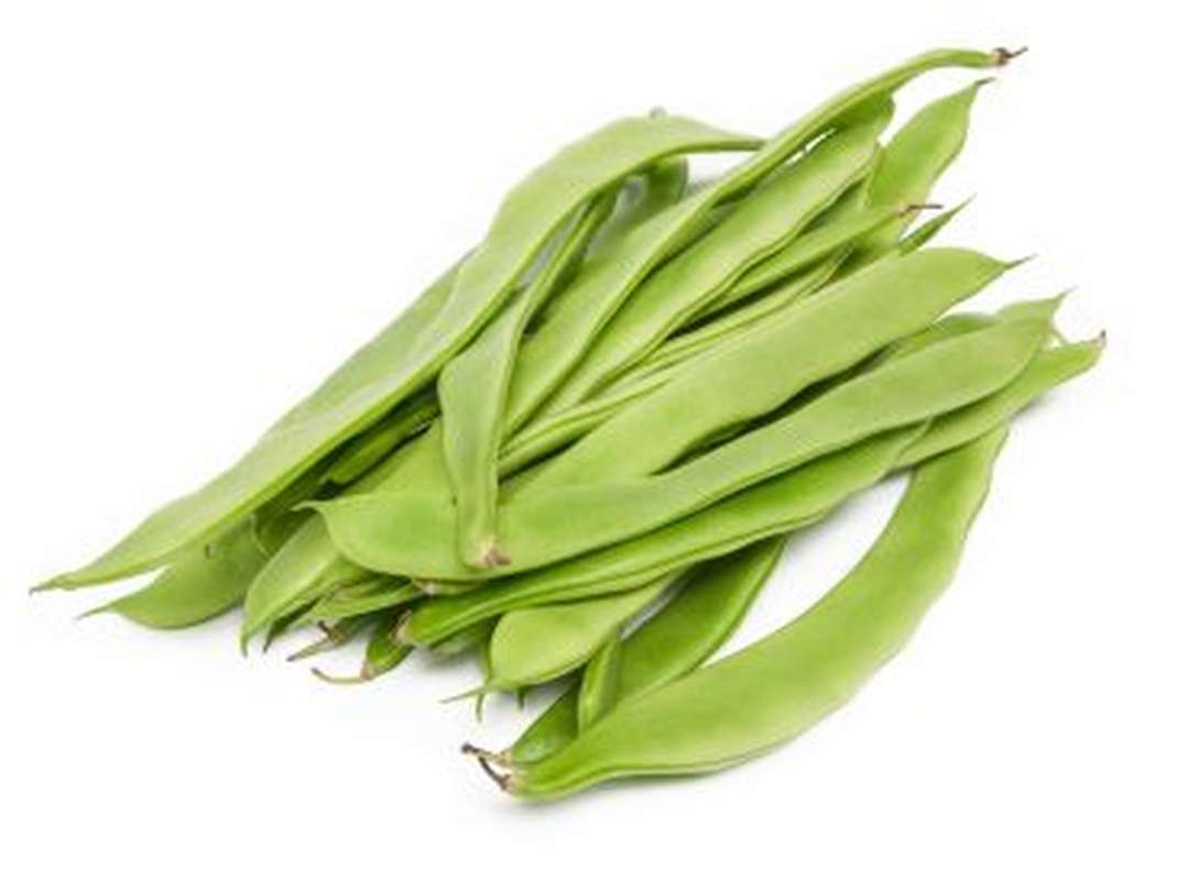 Haricot plat BIO (barquette de 500 g), Espagne