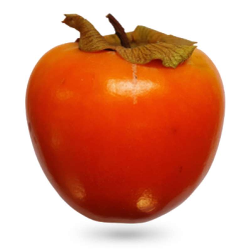 Kaki Rojo brillante (calibre moyen), France