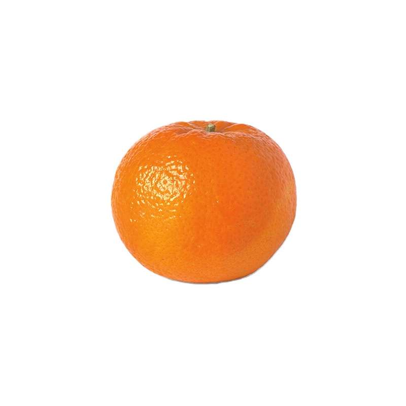 Mandarines Orri (calibre moyen), Afrique du Sud