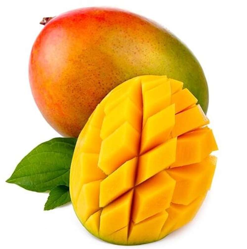 Mangue Keit bateau "à mûrir" (gros calibre), Brésil