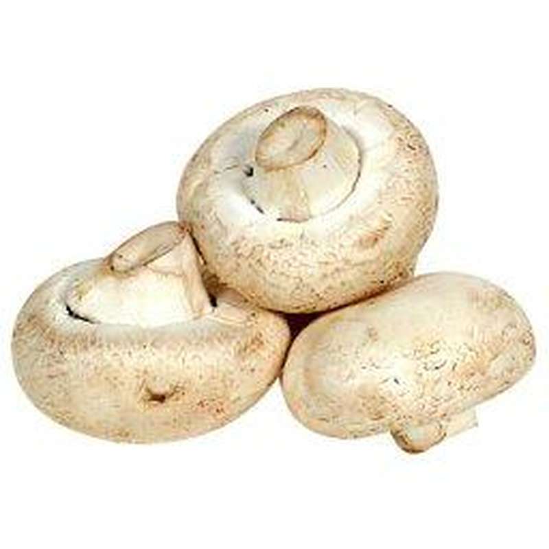 Gros champignons géant de Paris "à farcir" (pack de 200 g), Pologne