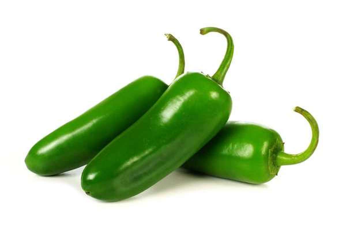 Piment vert Jalapeño, Pays-bas