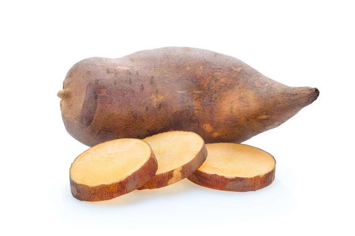 Poire de terre ou "Yacon" BIO, France