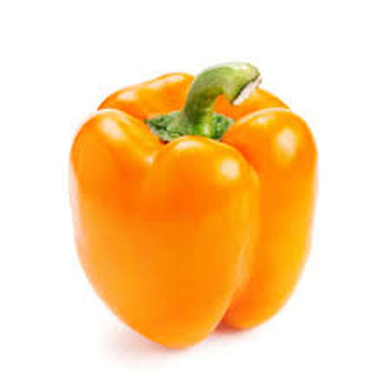 Poivron orange (gros calibre), Espagne