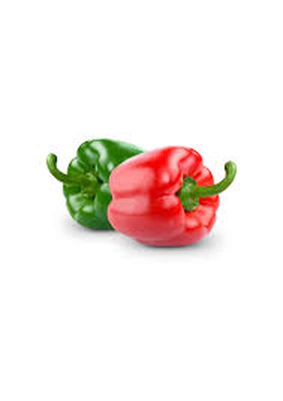 Sachet de 2 poivrons panachés BIO (400 g), Espagne