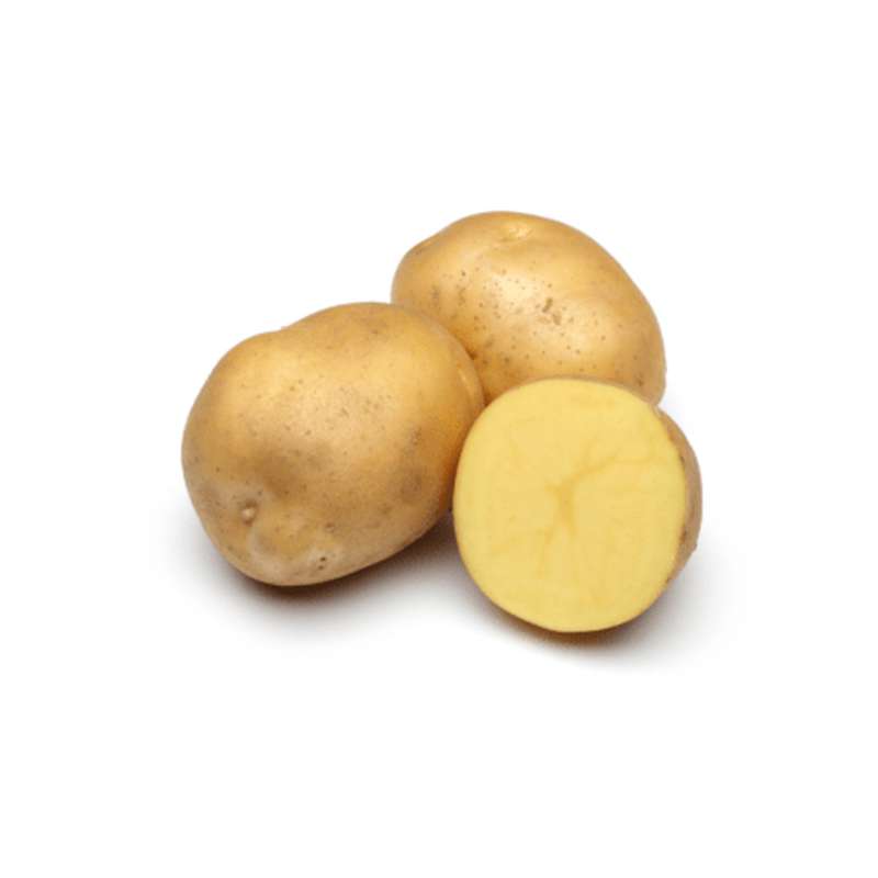 SUPER PRIX Pomme de terre polyvalente "Regina" des Hauts-de-France (filet de 2,5 kg), France