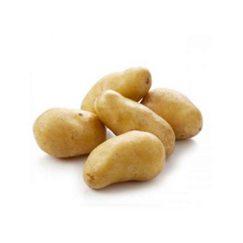 Pomme de terre vapeur salade sautées "Celtiane" des Hauts-de-France (filet de 2,5 kg), France