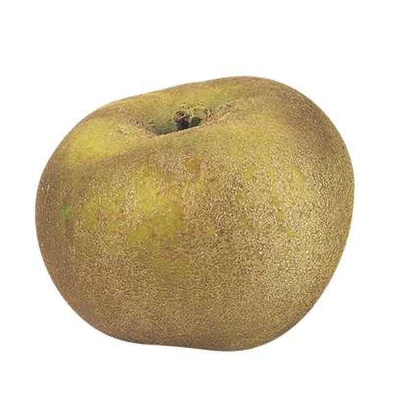 Pomme grise du Canada BIO (calibre moyen), France