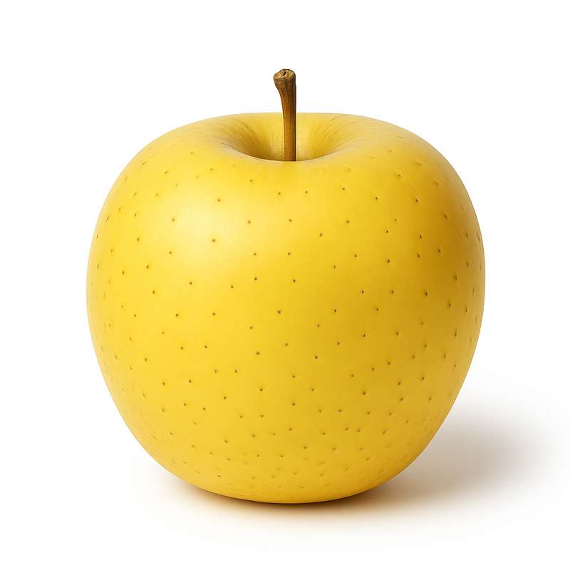 Pomme jaune Gradictive BIO du Sud-Ouest - Direct producteur (calibre moyen), France