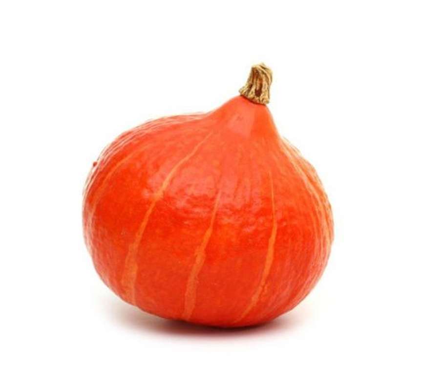 Potimarron orange BIO du Finistère Nord - Direct producteur (1.2 à 1.6 kg) (gros calibre), France