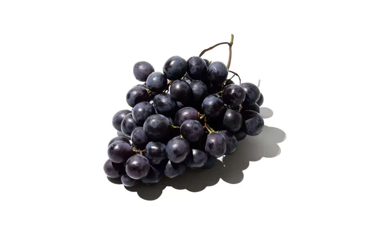 Copie de Raisin noir (barquette de 500 g), Italie