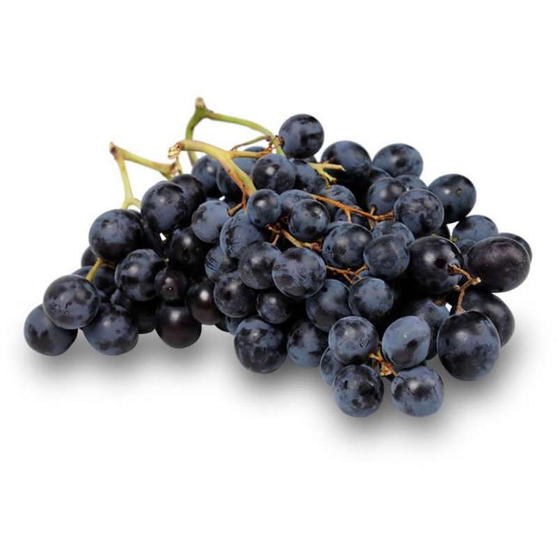 Raisin muscat (barquette de 750 g), France