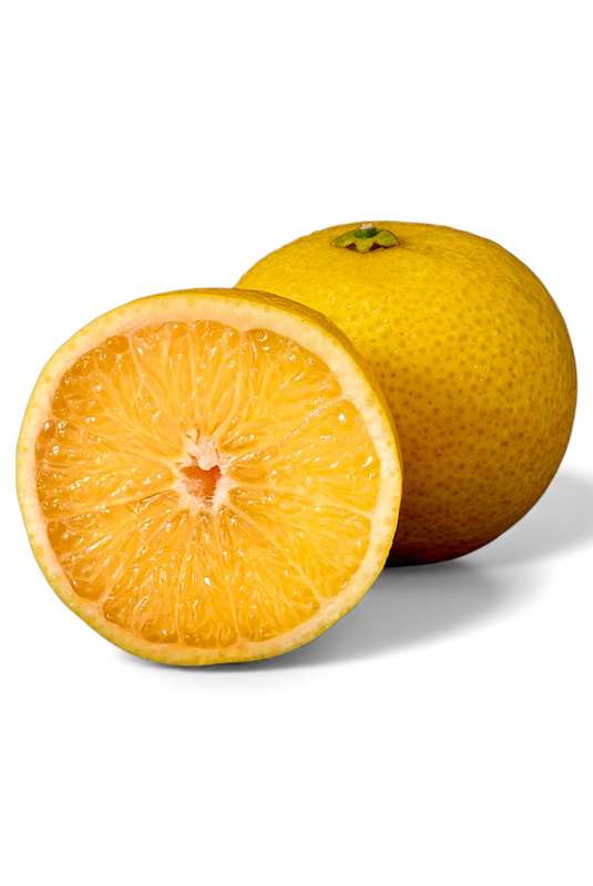 Tangelo "wekiwa" BIO : entre pamplemousse et mandarine (calibre moyen), Maroc