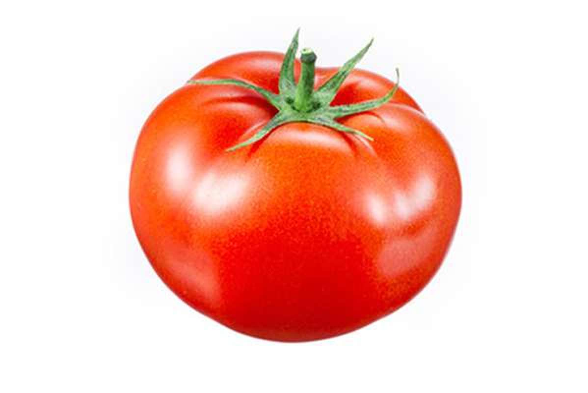 Tomate charnue à farcir (calibre moyen), France