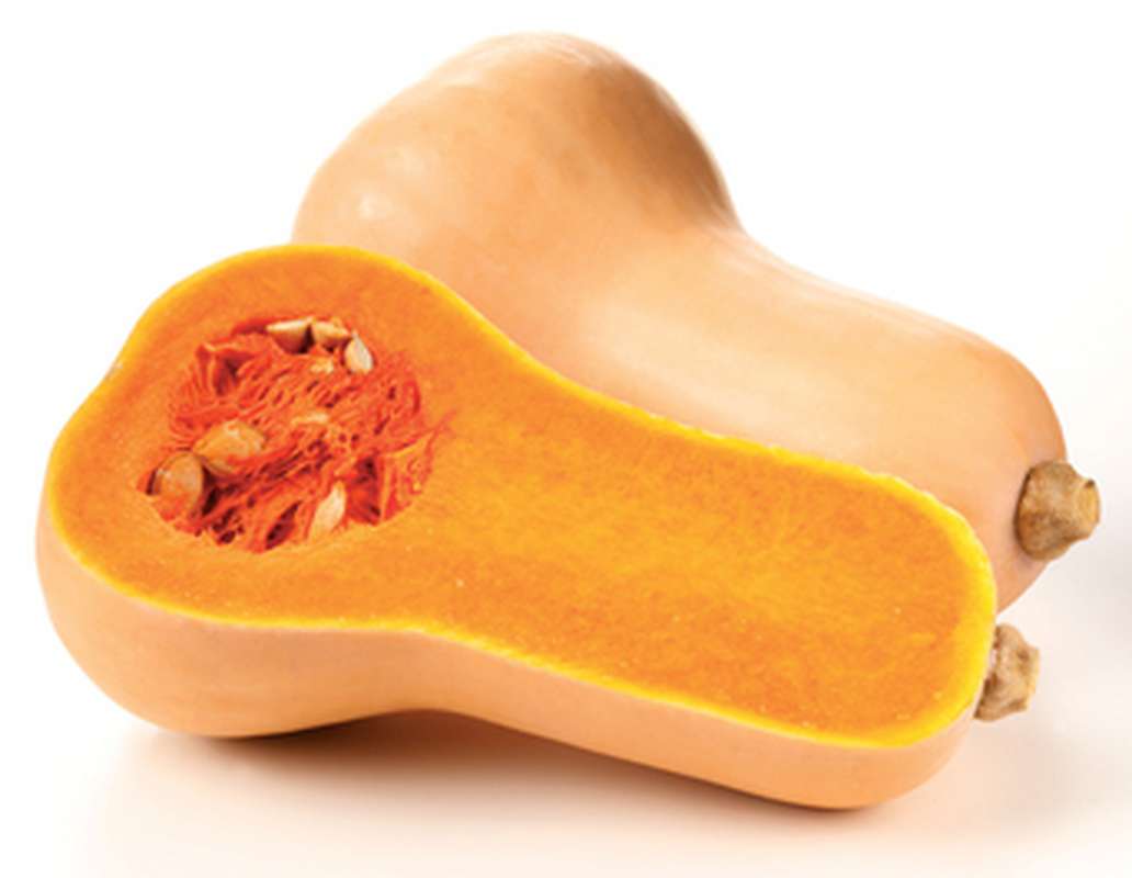 Courge Butternut BIO du Finistère Nord - Direct producteur (1.2 à 1.6 kg) (gros calibre), France