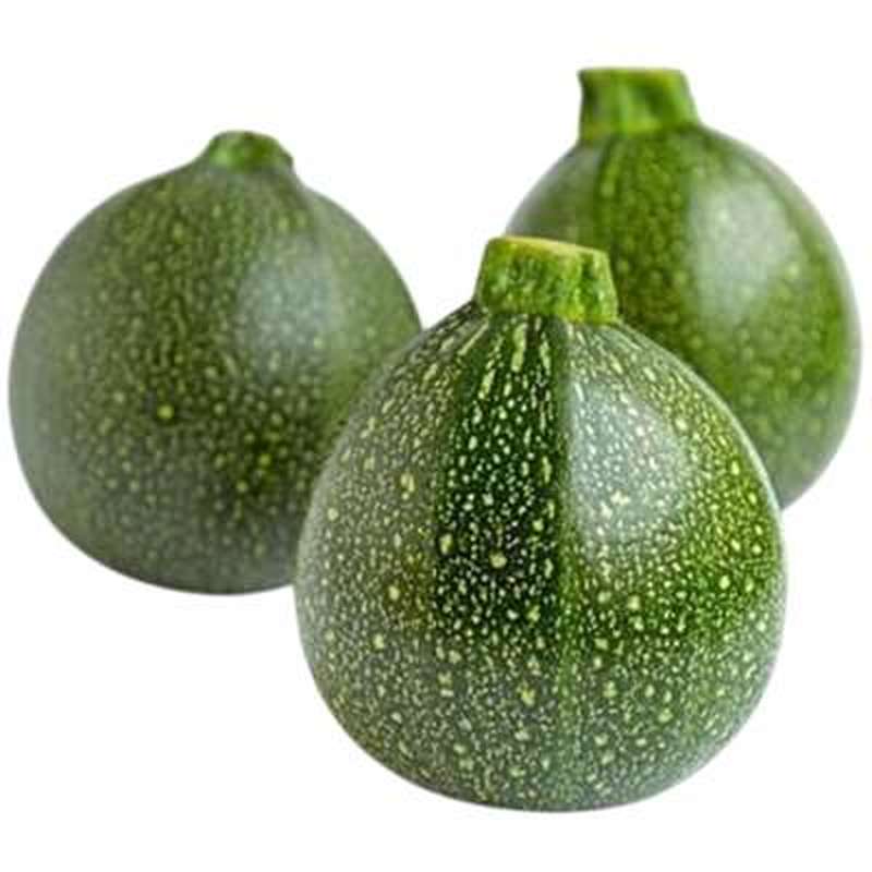Lot de 3 courgettes rondes verte du Loir-et-Cher (petit calibre), France