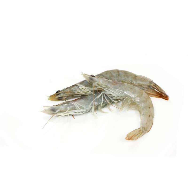 Crevettes dégelée 20/30 (250 - 300 g)