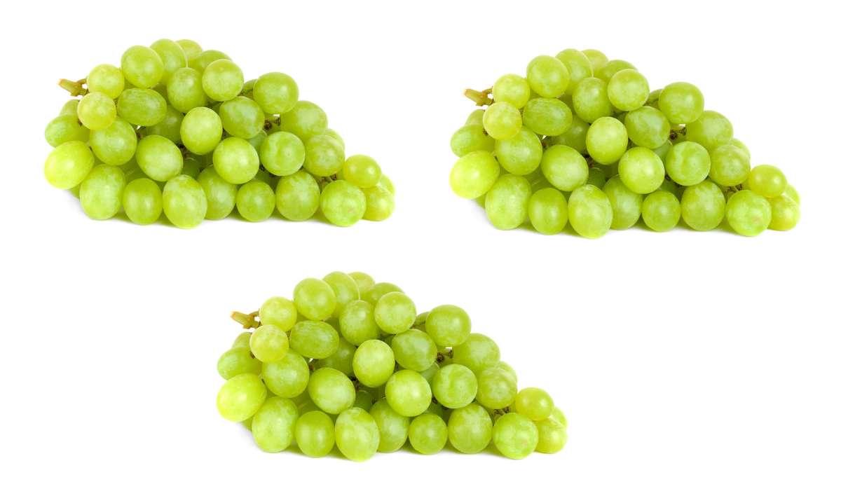 IMBATTABLE Lot de 3 barquettes de raisin blanc "cotton candy" (900 g), Espagne