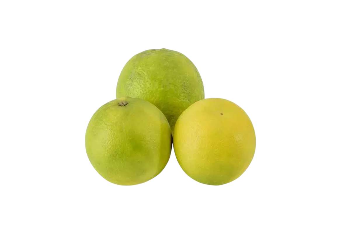 Lot de 3 citrons jaunes Verdilli BIO (calibre moyen), Italie