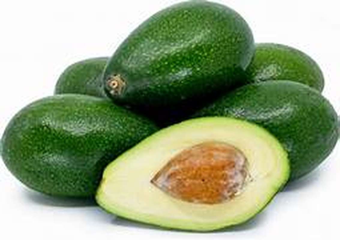 Lot de 6 avocats Hass valise "à mûrir" BIO (petit calibre), Pérou