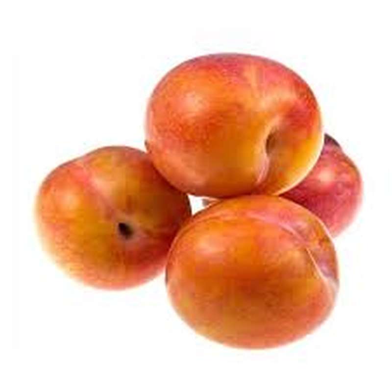 Lot de 6 prunes jaunes "TC sun" (gros calibre), France